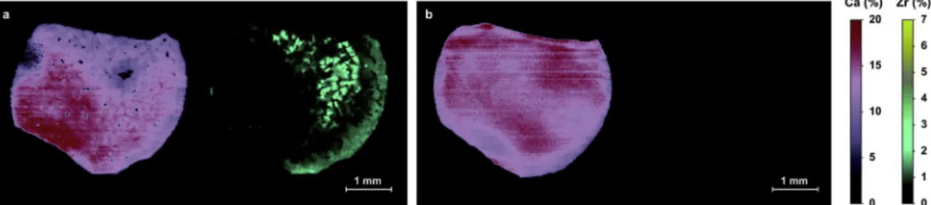 Fig. 10. LIBS transversal chemical imaging for Ca and Zr obtained on the two cross sections of a 3-mm wide ﬁber pulled at 6 mm h 1 and located at (a) z ¼ 19 mm and (b) z ¼ 27 mm [189]