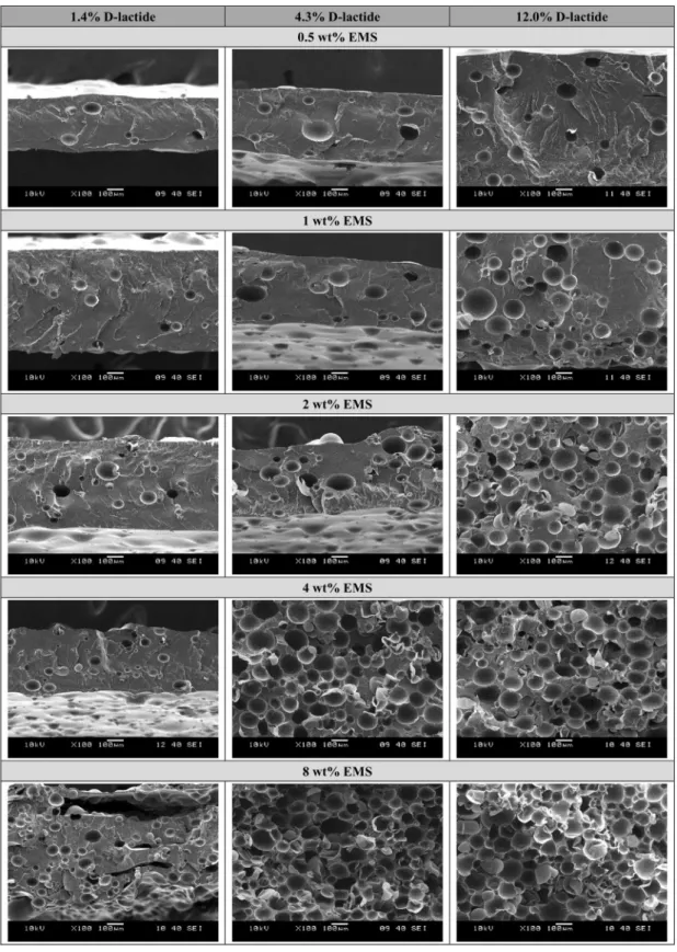 Fig. 1. SEM images of the sheet samples (100x magnification).  