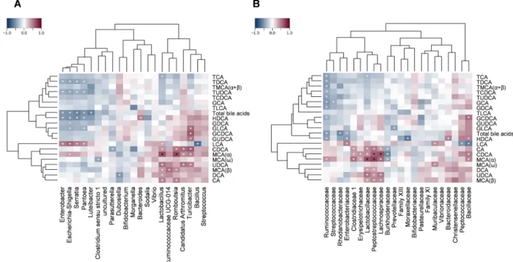 Fig. 11. Heat map of Spearman ’ s correlation coefficients between the small intestinal luminal concentration of individual bile acids and the relative abundance of  (A) bacterial genera or (B) bacterial families