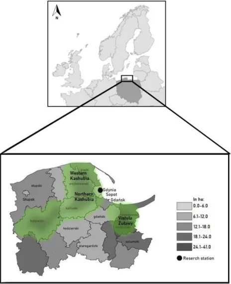 Fig. 1. Location of the measuring station along with the surrounding communication routes 