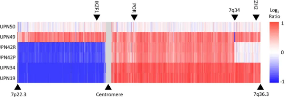 FIGURE 1  Recurrent isochromosome 7q in TYA T- ALL. Nexus copy number analysis of chromosome 7 in 6 TYA T- ALL samples