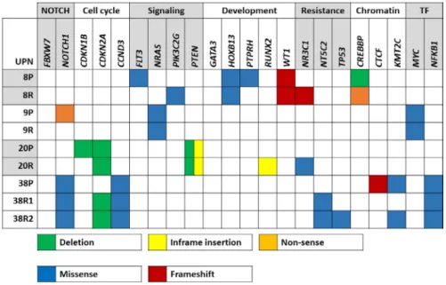 FIGURE 3  Heatmap of recurrently  targeted pathways in matched presentation  and relapsed TYA T- ALL