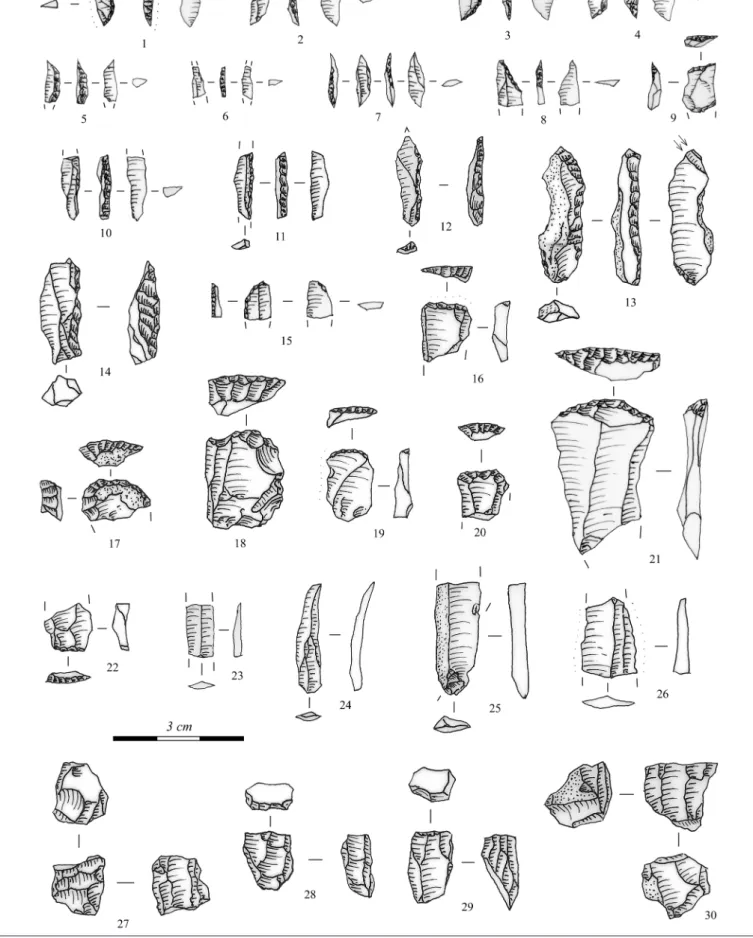 12. kép. Pattintott kőeszközök Regöly 2 lelőhely feltárásából: 1: aszimmetrikus háromszög; 2–5: szegmensek; 6–7, 10–12: 