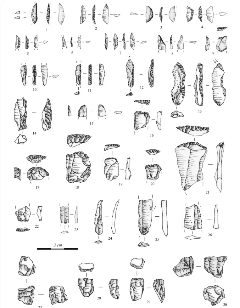 Fig. 12. Chipped stone artefacts from Regöly 2: 1. asymmetric triangle; 2–5: segments; 6–7, 10–12: backed microblades; 