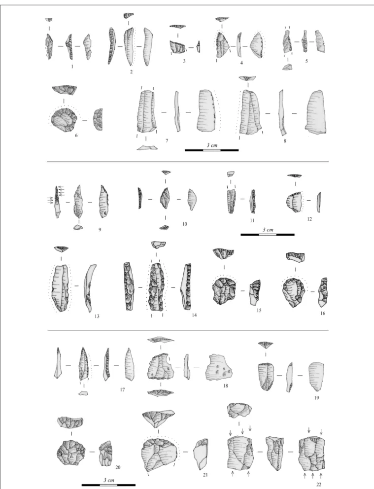 Fig. 8. Chipped stone artefacts from the sites Regöly 1 (1–8), Regöly 9 (9–16), and Sárszentlőrinc 1 (17–22): 1–2: asymmetric  triangles; 3–4, 12–13: truncated blades; 5, 9, 11: backed microblades; 6, 15–16, 19–21: end-scrapers; 7–8: blades; 14: drill; 