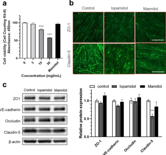 Figure 3. Effects of iopamidol on viability and tight junction protein expression in rat brain endo- endo-thelial cells (RBECs): (a) RBECs were treated with iopamidol (0–30 mgI/mL) for 24 h