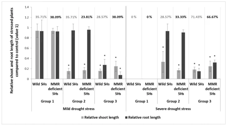 Figure 2. Classification of wild type somatic hybrids and their progenies (indicated as wild SHs), and MMR- MMR-deficient SHs (indicated as MMR-MMR-deficient SHs) by morphological adaptation to moderate and severe drought  stress