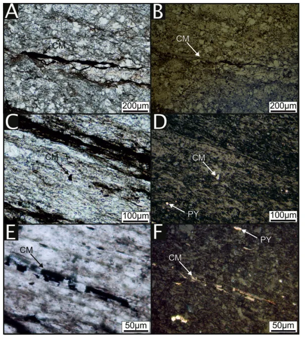 5. ábra.  A vizsgált mintákban található szenes anyag szemcsék jellegzetes mikroszkópi képei (A, C, E: áteső fény, 1N; B, D, F: ráeső fény, 1N)