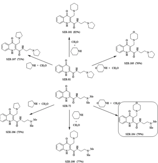 Figure 2. Synthesis of aminoalkylated KYNA amide derivatives.
