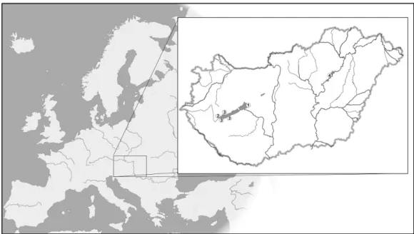 Figure 1. Map of sample locations. Locations 1 and 2, Balaton stock; location 3, inflow stock; 