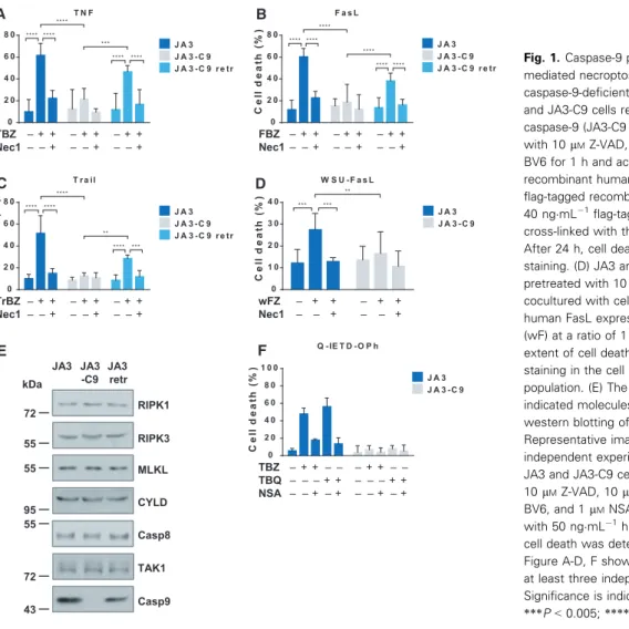 Fig. 1. Caspase-9 plays a role in DR - -mediated necroptosis. (A) JA3 cells, its caspase-9-deficient counterpart (JA3-C9), and JA3-C9 cells retransfected with caspase-9 (JA3-C9 retr) were pretreated with 10 l M Z-VAD, 40 l M Nec-1, and 1 l M BV6 for 1 h an