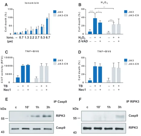 Fig. 2. Caspase-9 interacts with RIPK3 during necroptosis. (A) JA3 and JA3-C9 cells were treated with the indicated doses of ionomycin or (B) pretreated with 10 l M Z-VAD for 1 h and activated with 400 l M H 2 O 2 