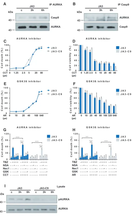 Fig. 5. Aurora kinase A inhibitor restores TNF/BV6/Z-VAD-induced cell death in caspase-9-deficient Jurkat cells