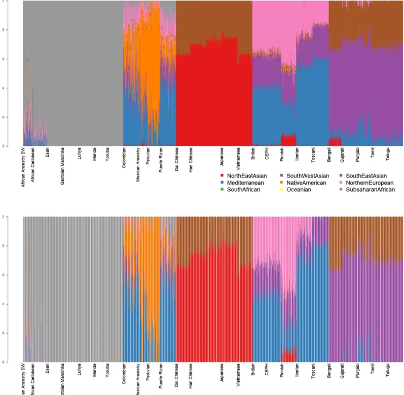 Figure 1 Admixture plots for worldwide individuals from 1000 Genomes Project. Top: diploid mode