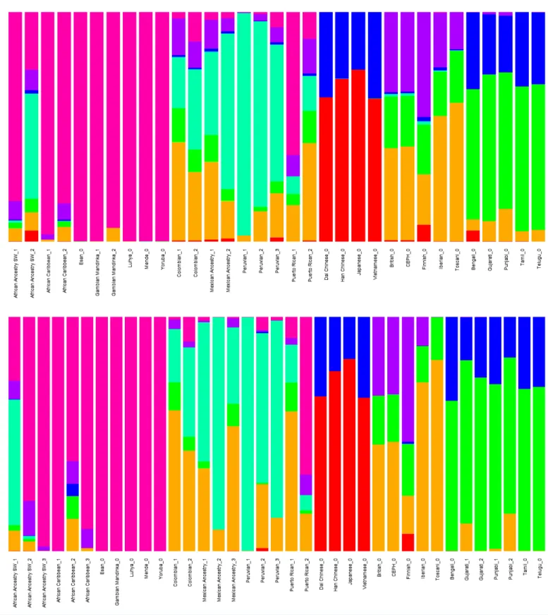 Figure 2 Clustered Admixture plot for worldwide individuals from 1000 Genomes Project