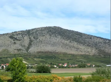 Fig. 1. The barren southern slope of the Szársomlyó  Mountain (photo: Zsolt Mráv)