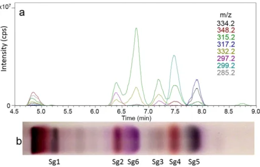 Fig. 4. EIC chromatograms of scanning HPTLC-DART-MS in the positive ionization mode (a) and respective HPTLC chromatogram of the bioactive giant goldenrod root  components  separated with  n  -hexane – isopropyl acetate – acetone  16:3:1 (  V  /  V  /  V  