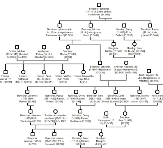 2. ábra: A Benkner család genealógiája a 16–17. században (részlet)