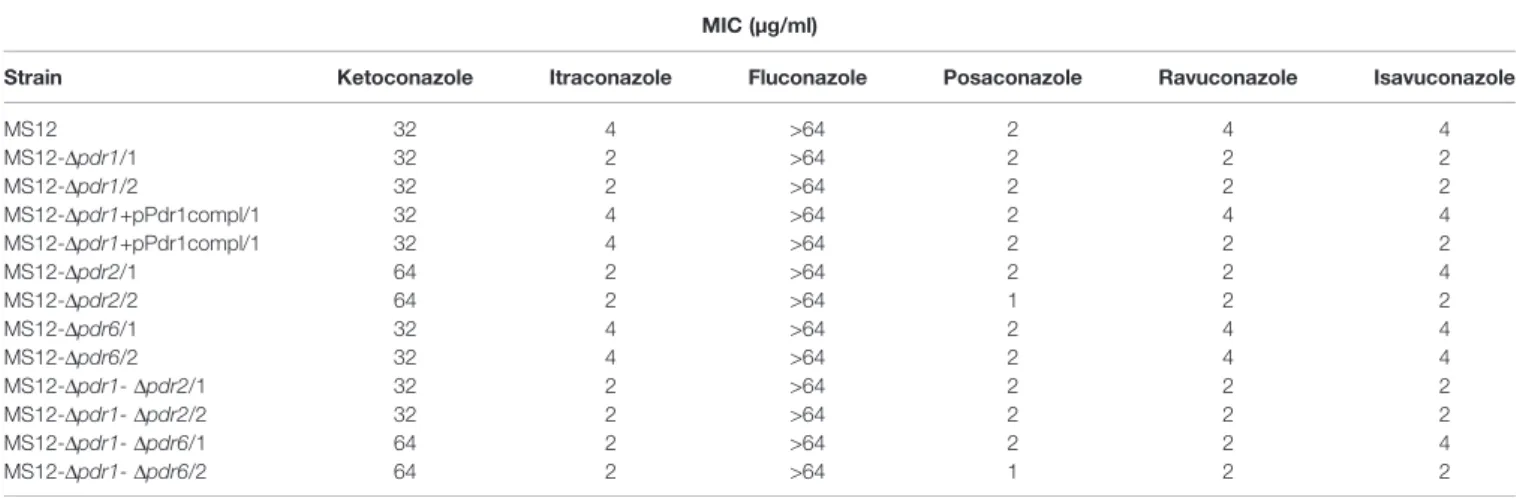 TABLE 3 | Minimal inhibitory concentrations (MIC) of the azoles (µg/ml) against the transformants and the parental M