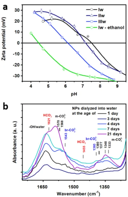 Figure 4. Zeta potential vs. pH curves (a) and FTIR spectra (b) and of SZ3 (50 nm diameter) NPs after dialysis into the water at different ages: Iw (1 day), IIw (7 days), IIIw (21 days) and Iw-ethanol (freshly dialyzed against ethanol and then against wate