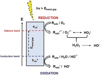 Fig. 1.4 Formation of reactive species in O 2 containing aqueous suspension of TiO 2 photocatalyst