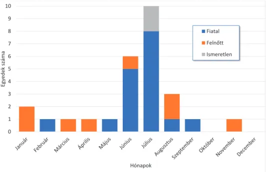 2. ábra. Az 1990 és 2020 között a Kárpát-medencében felszínen talált földikutya-egyedek időbeli  eloszlása az év hónapjai során.