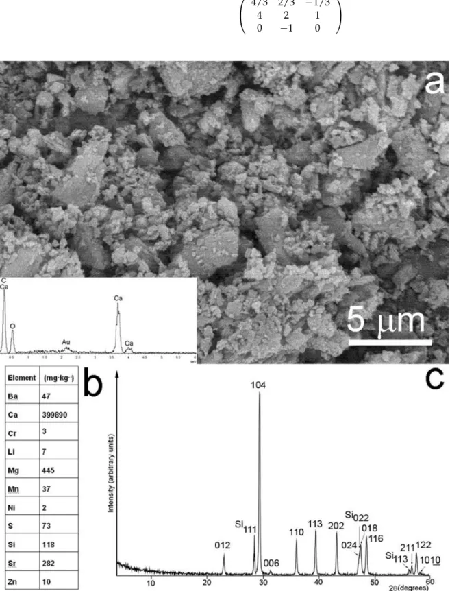 Figure 2. (a) BSE image and EDX data of the studied glendonite. (b) Elements present in glendo- glendo-nite