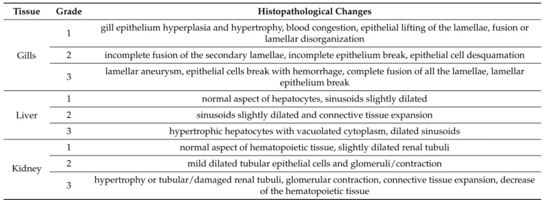 Table 2. Histopathological changes ranked for the severity of lesions.