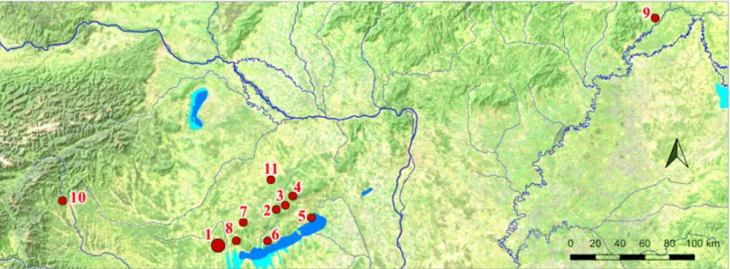 Fig. 13 Distribution of the raw materials of the lithic artefacts. 