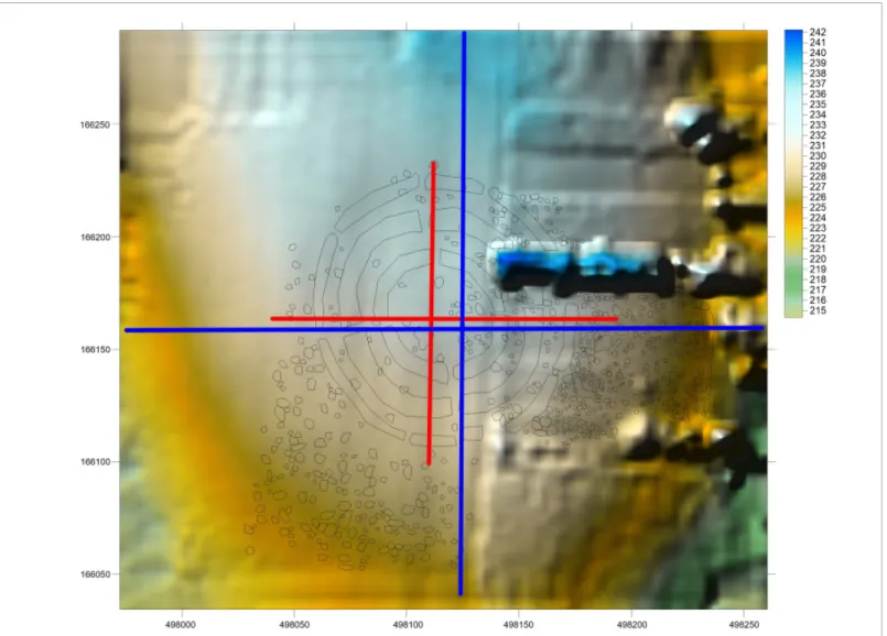 Fig. 16 Locations of the digital cross-sections drawn in order to investigate the environment of the roundel (blue line) and the area of the  roundel (red line), respectively