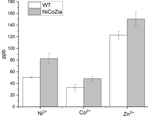 Fig 4. Content of the intracellular Co 2+ ; Ni 2+ and Zn 2+ in WT and NiCoZia mutant Synechocystis cells