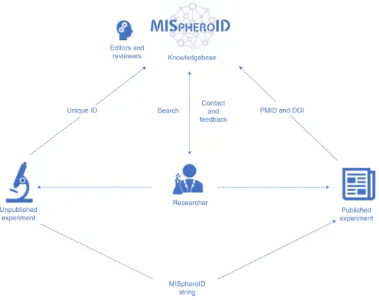 Fig. 6 | Implementation of the MISpheroID knowledgebase. This flowchart illustrates the application of MISpheroID.