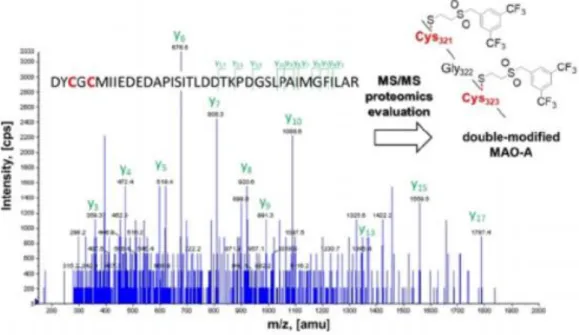 Figure  2.  The  MS/MS  spectra  of  the  enzyme-digested  MAO-A  peptide  modified  by  covalent  fragment 12 and the identified adduct 