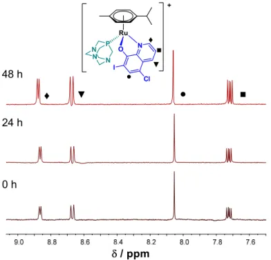 Figure 4.  1 H‐NMR spectra of 6 at pH 7.4 (PBS’) in the low field region recorded for the fresh sample,  after 24 h and 48 h waiting time. {T = 25.0 °C, c complex   6  = 0.5 mM; 10% (v/v) DMSO‐d 6 }. 
