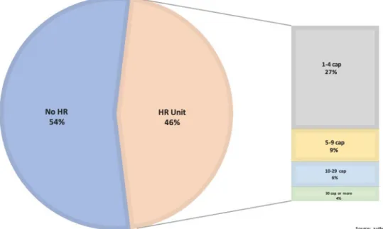 Figure 8. HR units by firms  