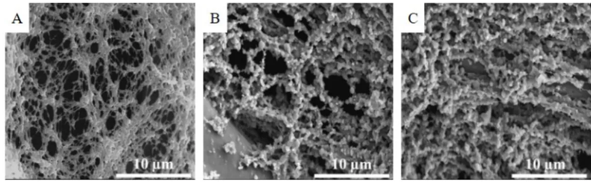 Figure 1. SEM pictures of the 3D structure of the glassy carbon foams, GCF (A), GCF-AC1 (B), and  GCF-AC2 (C)