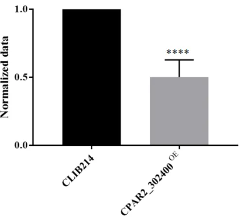 Figure 2. Biofilm formation analysis. OD 540 values of the overexpression (OE) strains were nor- nor-malized to the CLIB214 control strain, n = 3 with eight parallel samples per experiment
