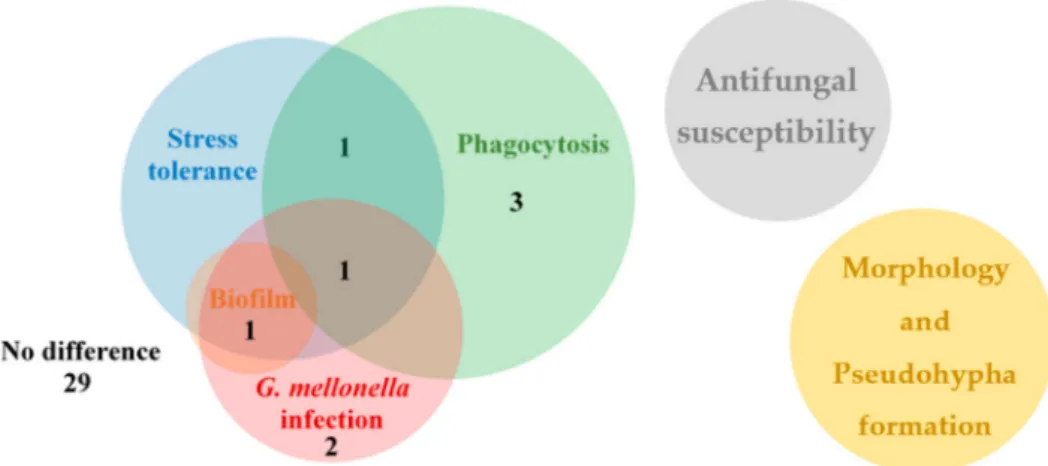 Figure 6. The Venn diagram shows summarized results of the OE mutant collection analysis separated into distinct experiments