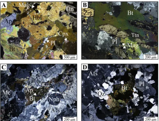 Fig. 3. Characteristic textural features of the studied rocks. (A) Cumulus amphibole and titanite with intercumulus plagioclase in amphibole- amphibole-and pyroxene-rich cumulate (VRG6546/b), þN (crossed polarized light)