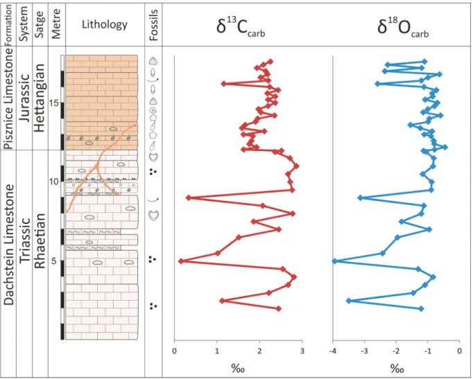 Fig. 9. Stratigraphic and lithologic log of the Tata (K ´ alv ´ aria-domb) section along with stable C and O isotope curves