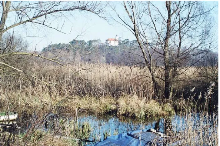 1. kép. A Szentmihály-domb Ny-ról, előtérben a vashegyi patak torkolatának környéke (2008)