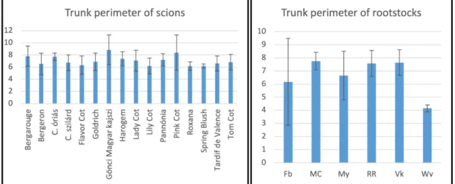Figure 1. Average trunk perimeter by scion and rootstock cultivars at 35 cm height (cm).