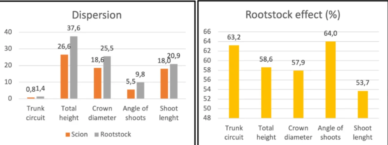Figure 6. Dispersion of data divided by scion and rootstock cultivars, and fraction of root- root-stocks of dispersion (%).