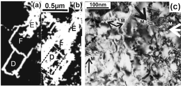 Figure 2. TEM micrographs from in situ Ni-MILC at 520 °C where SPC is significant. (a) In the areas D and F, Si whiskers  are evident, frequently changing direction, forming a loop in area D