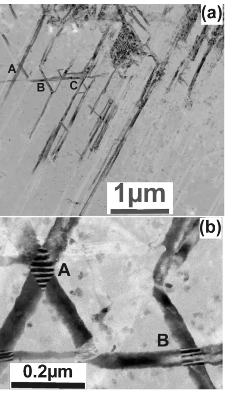 Figure 4. TEM micrographs. (a) Overall view of crossing whiskers; in some cases, the same whisker  crosses several whiskers having different orientations denoted by the letters A, B and C