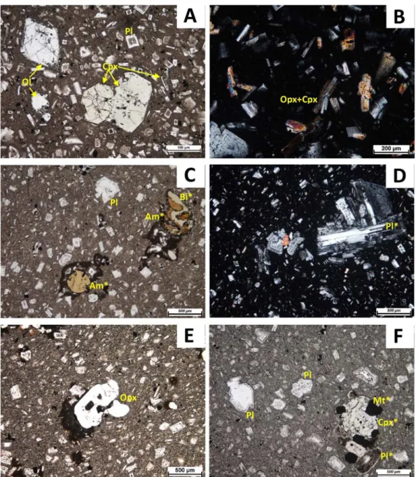 Fig. 13.: Characteristic microphotographs of the investigated samples. A – Large olivine and augite macrocrysts (possibly  megacrysts), plagioclase microphenocrysts with sieved core and euhedral rim