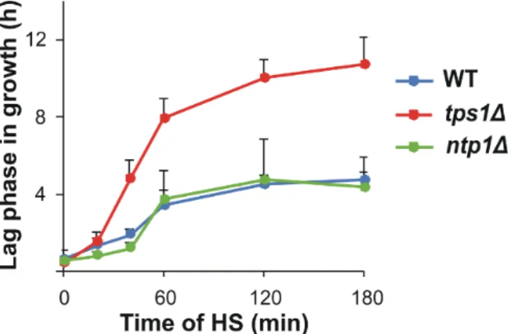 Figure 1. Alteration of lag period due to heat stress (HS). Yeast cells were heat-stressed at 40 °C for  0–180 min