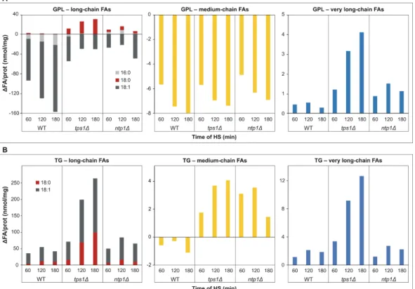 Figure 6. Triglyceride synthesis in heat-stressed S. pombe cells. Yeast cells were heat-stressed at 40 ◦ C for 0–180 min