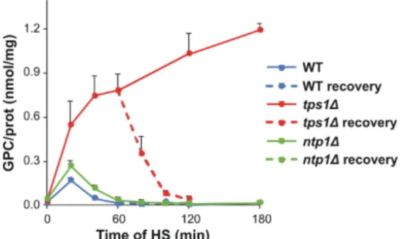 Figure 7. Net lipidome changes at the level of fatty acids (FAs) upon heat stress (HS)