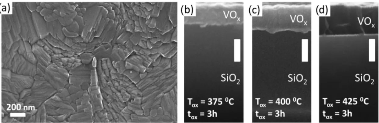 Figure 2a shows a scanning electron microscope (SEM) image about the surface morphology of a VO x film annealed at 400 ◦ C for 3.0 h